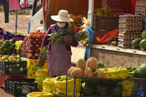 Local Buy & Sell Tips for Coffs Harbour and Grafton NSW: A Practical Guide for Safe and Successful Trading