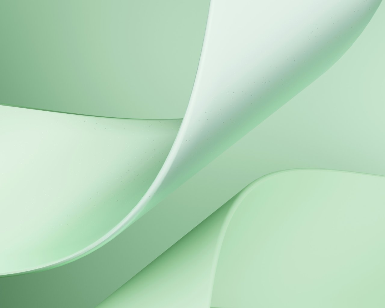 Elegant green gown showcase