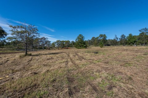 331 Armidale Road, South Grafton | Flood-Free Industrial Land | 5.58ha |  CVSN 8